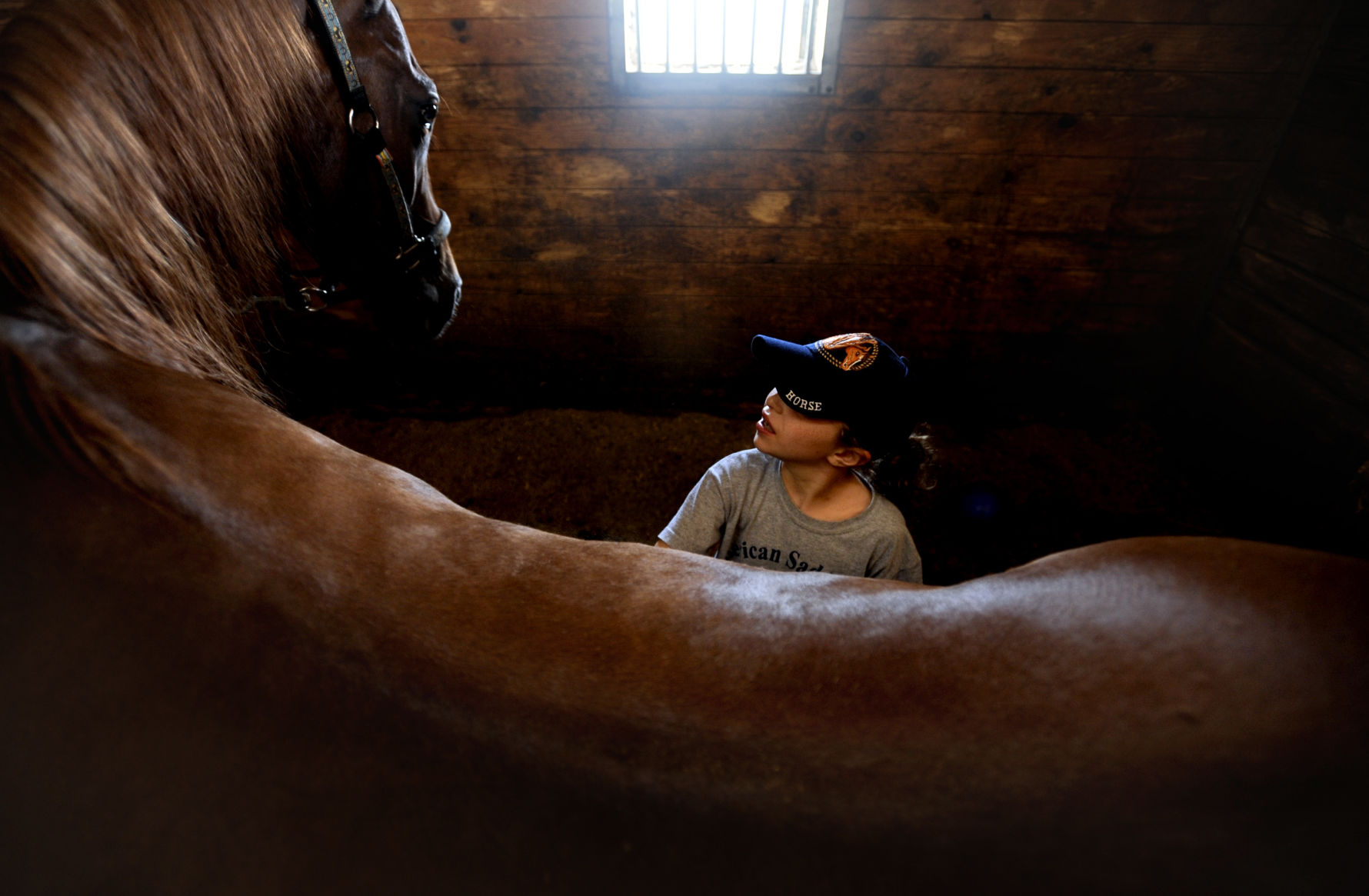 2011-08-02 Horse